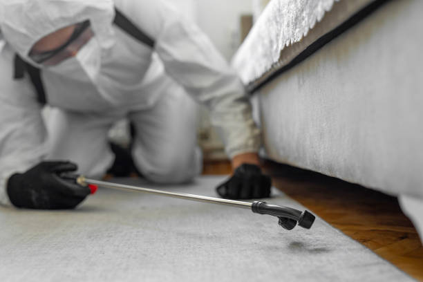 Professional Wasp Control technician working in North Ridgeville, OH