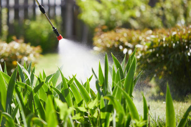 24/7 Emergency Termite Control experts in North Ridgeville, OH