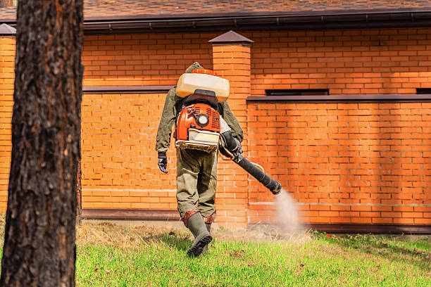 Trusted Termite Control service in North Ridgeville, OH - Nex Pest Control